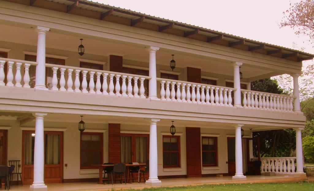 Or Tambo Guest House Кемптън Парк Екстериор снимка